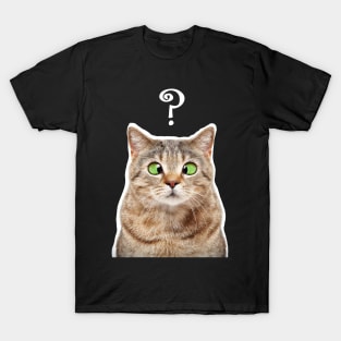 Confused Cat T-Shirt